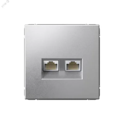 ARTGALLERY РОЗЕТКА двойная компьютерная RJ45+RJ45, кат. 5е, механизм, АЛЮМИНИЙ GAL0 Systeme Electric фото 1