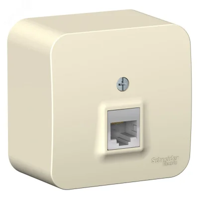 Розетка BLANCA наружная компьютерная RJ45, кат.5e, с изолирующей пластиной, молочный Systeme Electri фото 1