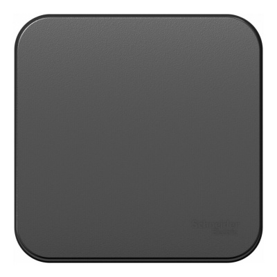 BLANCA О/У 1-клавишный ВЫКЛЮЧАТЕЛЬ (сх.1) ИЗОЛ.ПЛ., 10А, 250В, АНТРАЦИТ Systeme Electric BLNVA101016 фото 1