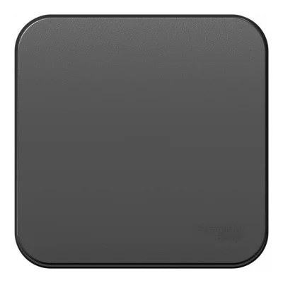 BLANCA О/У 1-клавишный ВЫКЛЮЧАТЕЛЬ (сх.1) ИЗОЛ.ПЛ., 10А, 250В, АНТРАЦИТ Systeme Electric BLNVA101016 фото 1