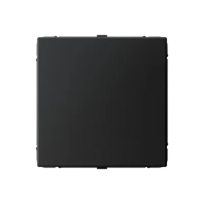 ARTGALLERY ЗАГЛУШКА без суппорта для многопостовых рамок, КАРБОН Systeme Electric GAL001009 фото 1