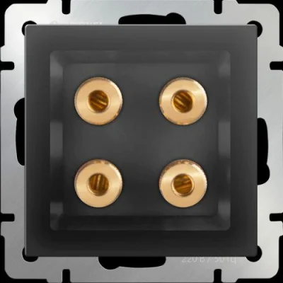 Акустическая розетка (черный матовый) W1185008 Werkel a051614 фото 1