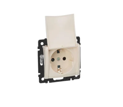 Розетка СП 1-м c з/к с крышк. механизм (сл. кость) Valena Legrand 774322 фото 1