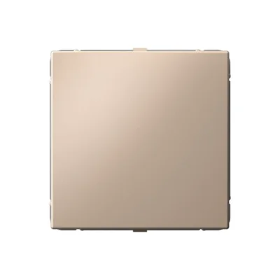 ARTGALLERY ЗАГЛУШКА без суппорта для многопостовых рамок, ПЕСОЧНЫЙ Systeme Electric GAL001209 фото 1