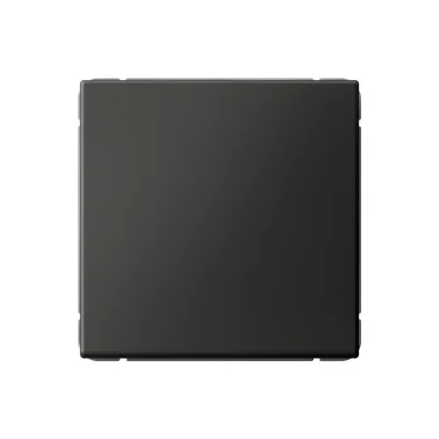 ARTGALLERY 1-клавишный ВЫКЛЮЧАТЕЛЬ, сх.1, 10АХ, БАЗАЛЬТ Systeme Electric GAL001411 фото 1