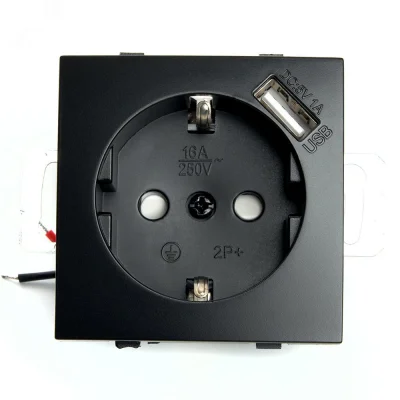 Розетка одноместная с/з и с USB (механизм) серия Эрна черный STEKKER PST16-9111-03 49155 фото 1