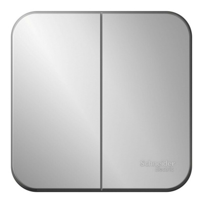 BLANCA О/У 2-клавишный ВЫКЛЮЧАТЕЛЬ (сх.5) ИЗОЛ.ПЛ., 10А, 250В, АЛЮМИНИЙ Systeme Electric BLNVA105013 фото 1