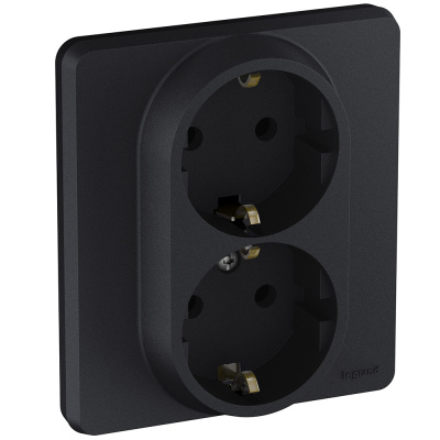 Розетка 2 x 2К+З - немецкий стандарт - 16 А - 250 В~ - INSPIRIA - антрацит Legrand 673753 фото 1