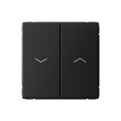 ARTGALLERY 2-клавишный ВЫКЛЮЧАТЕЛЬ ДЛЯ ЖАЛЮЗИ, 2х сх.4, 10А, механизм, КАРБОН GAL00 Systeme Electric фото 1