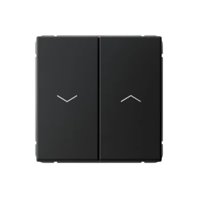 ARTGALLERY 2-клавишный ВЫКЛЮЧАТЕЛЬ ДЛЯ ЖАЛЮЗИ, 2х сх.4, 10А, механизм, КАРБОН GAL00 Systeme Electric фото 1