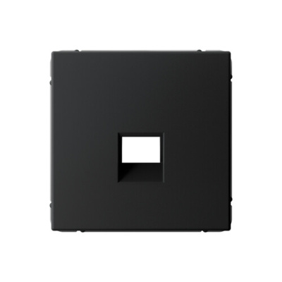 ARTGALLERY НАКЛАДКА для информационных функций типа Keystone, КАРБОН Systeme Electric GAL001084 фото 1