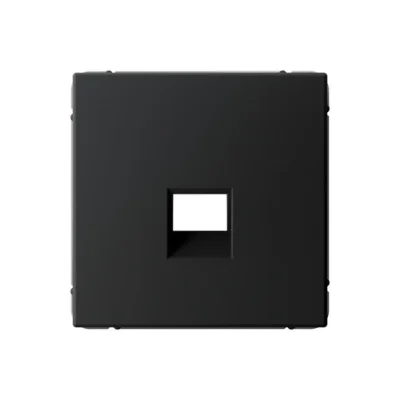 ARTGALLERY НАКЛАДКА для информационных функций типа Keystone, КАРБОН Systeme Electric GAL001084 фото 1