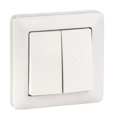 ХИТ С/У 2-клавишный ВЫКЛЮЧАТЕЛЬ 6А, 250В, БЕЛЫЙ. Россия Systeme Electric VS56-234-B фото 1