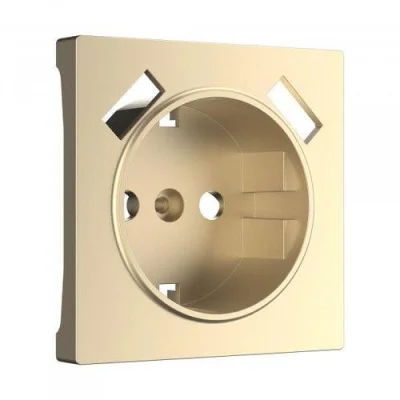 Накладка для USB розетки (шампань)/WL11-USB-CP Werkel a050854 фото 1