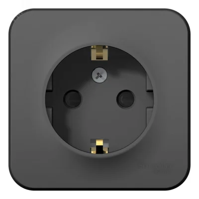 BLANCA розетка наружная с заземлением со шторками, 16А, 250В, антрацит Systeme Electric BLNRA011106 фото 1