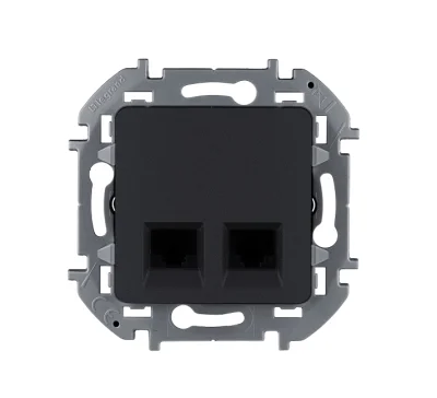 Двойная розетка RJ 45 - категория 5e - UTP - INSPIRIA - антрацит Legrand 673838 фото 1