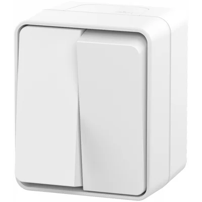 AtlasDesign PROFI IP54 О/У 2-клавишный ВЫКЛЮЧАТЕЛЬ 10 АХ, БЕЛЫЙ Systeme Electric ATN540151 фото 1