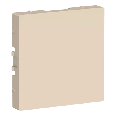 ATLASDESIGN ЗАГЛУШКА без суппорта для многопостовых рамок, БЕЖЕВЫЙ Systeme Electric ATN000209 фото 1