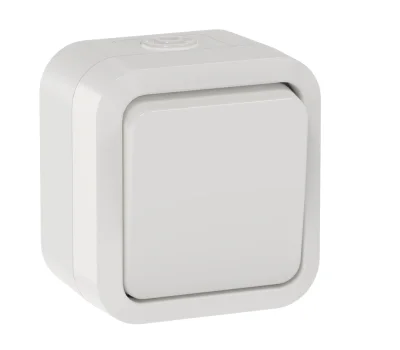 TORS Выключатель двухполюсный одноклавишный 10А IP55 TS311 белый IEK TS-V16-0-10-55-K01 фото 1