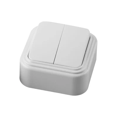 Выключатель двухклавишный открытой установки, 250В, 6А, IP20, белый, PSW06-22-20 (VA5 6-232-Б) STEKK фото 1