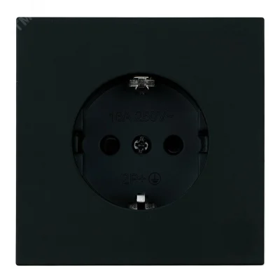 Розетка 1-местная с защитной шторкой с/з (механизм), , 250В, 16А, серия Мия, RST16-3110-05, ч STEKKE фото 1
