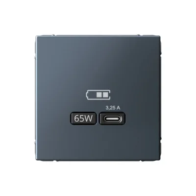 ARTGALLERY USB РОЗЕТКА тип-С 65Вт высокоскор.заряд. QC, PD, механизм, ГРИФЕЛЬ GAL00 Systeme Electric фото 1