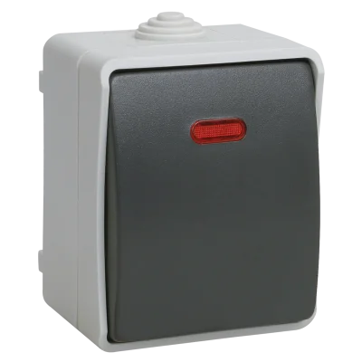 FORS Выключатель 1-клавишный проходной с индикацией для открытой установки 10А IP54 ВС20-1-1-ФСр сер фото 1