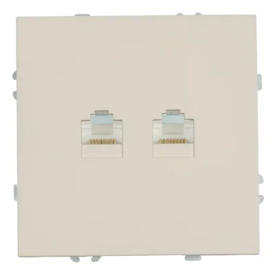 Розетка компьютерная 2-местная RJ-45 (механизм), , серия Эмили, RST00-5111-08, кашемир, soft STEKKER фото 1