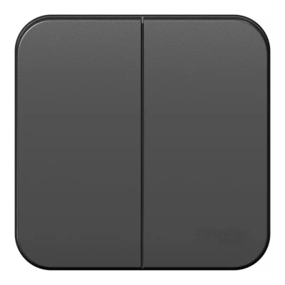 BLANCA О/У 2-клавишный ВЫКЛЮЧАТЕЛЬ (сх.5) ИЗОЛ.ПЛ., 10А, 250В, АНТРАЦИТ Systeme Electric BLNVA105016 фото 1