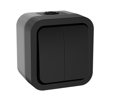 TORS Выключатель двухклавишный 10А IP55 TS105 графит IEK TS-V20-0-10-55-K53 фото 1