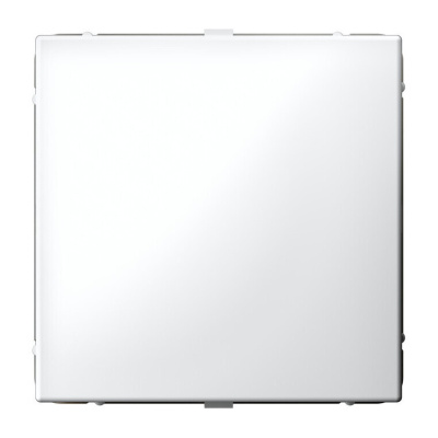 ARTGALLERY ЗАГЛУШКА без суппорта для многопостовых рамок, БЕЛЫЙ Systeme Electric GAL000109 фото 1