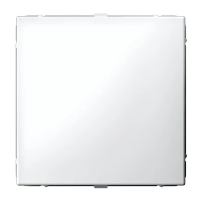 ARTGALLERY ЗАГЛУШКА без суппорта для многопостовых рамок, БЕЛЫЙ Systeme Electric GAL000109 фото 1