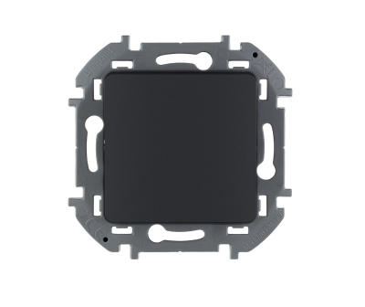 Переключатель одноклавишный - INSPIRIA - 10 AX - 250 В~ - антрацит Legrand 673653 фото 1