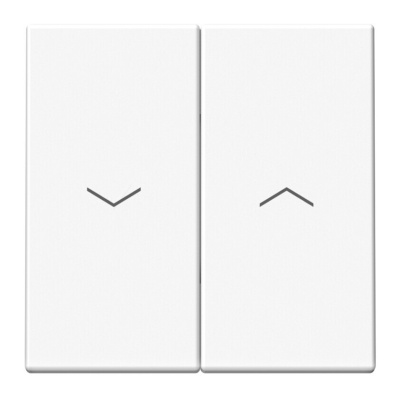 ARTGALLERY 2-клавишный ВЫКЛЮЧАТЕЛЬ ДЛЯ ЖАЛЮЗИ, 2х сх.4, 10А, механизм, БЕЛЫЙ GAL000 Systeme Electric фото 1