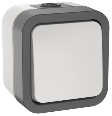 TORS Выключатель двухполюсный одноклавишный 10А IP55 TS211 серо-белый IEK TS-V16-0-10-55-K41 фото 1