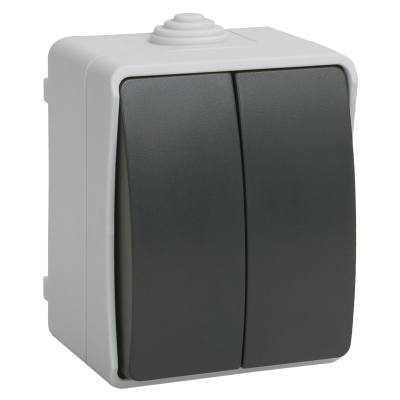 FORS Выключатель 2-клавишный для открытой установки 10А IP54 ВС20-2-0-ФСр серый EVS20-K03-10-54- IEK фото 1