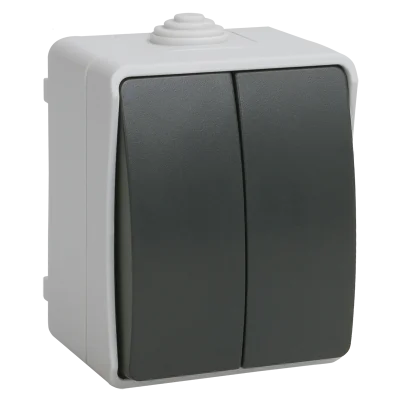 FORS Выключатель 2-клавишный для открытой установки 10А IP54 ВС20-2-0-ФСр серый EVS20-K03-10-54- IEK фото 1