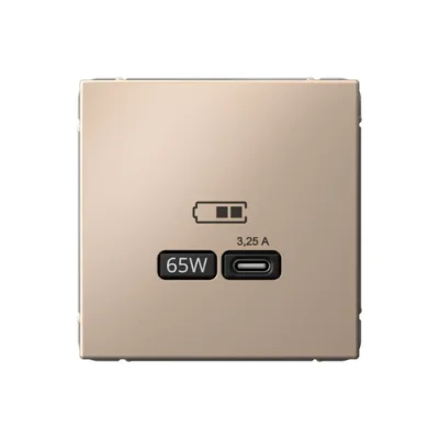 ARTGALLERY USB РОЗЕТКА тип-С 65Вт высокоскор.заряд. QC, PD, механизм, ПЕСОЧНЫЙ GAL0 Systeme Electric фото 1