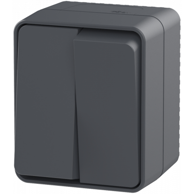 AtlasDesign PROFI IP54 О/У 2-клавишный ВЫКЛЮЧАТЕЛЬ 10 АХ, АНТРАЦИТ Systeme Electric ATN544051 фото 1