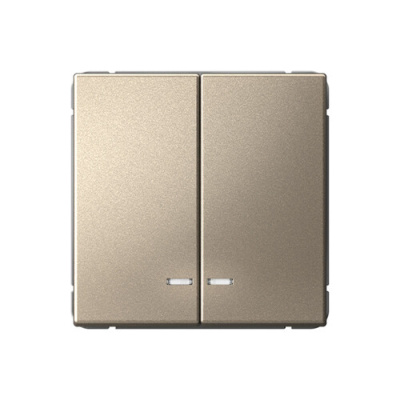 ARTGALLERY 2-клавишный ВЫКЛЮЧАТЕЛЬ с подсветкой, сх.5а, 10АХ, механизм, ШАМПАНЬ GAL Systeme Electric фото 1