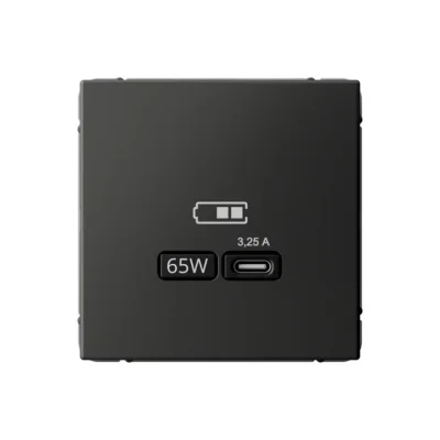 ARTGALLERY USB РОЗЕТКА тип-С 65Вт высокоскор.заряд. QC, PD, механизм, БАЗАЛЬТ GAL00 Systeme Electric фото 1
