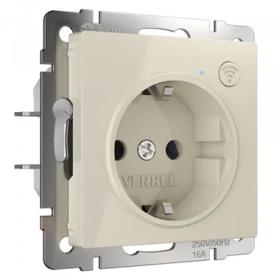 Розетка Wi-Fi (слоновая кость) W1171603 Werkel a056421 фото 1