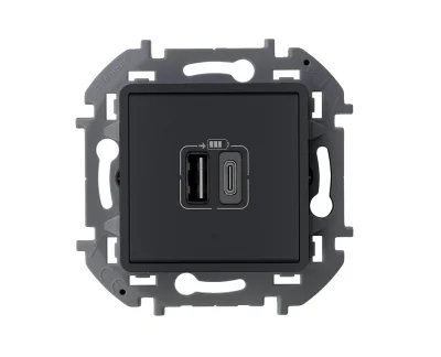 Зарядное устройство с двумя USB-разьемами A-C 240В/5В 3000мА - INSPIRIA - антрацит Legrand 673763 фото 1