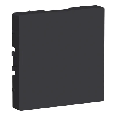 Заглушка, карбон Systeme Electric ATN001009 фото 1