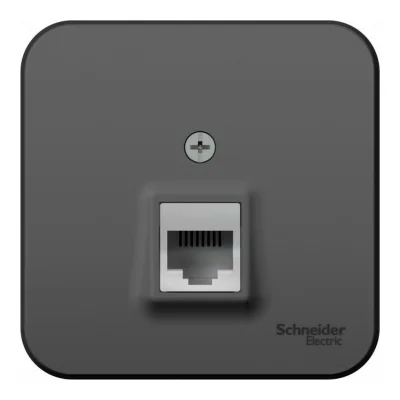 BLANCA О/У РОЗЕТКА компьютерная RJ45, кат.5E, ИЗОЛ.ПЛ.,АНТРАЦИТ Systeme Electric BLNIA045006 фото 1