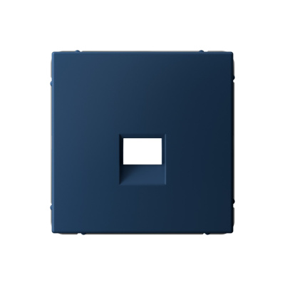 ARTGALLERY НАКЛАДКА для информационных функций типа Keystone, АКВАМАРИН Systeme Electric GAL001184 фото 1