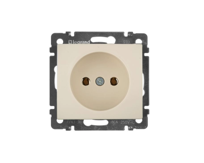 Розетка СП 1-м механизм (сл. кость) Valena Legrand 774316 фото 1