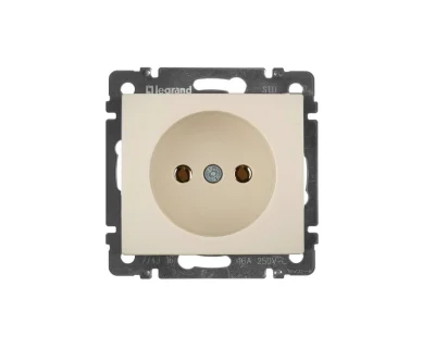 Розетка СП 1-м механизм (сл. кость) Valena Legrand 774316 фото 1