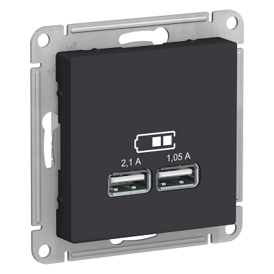 Розетка 2xUSB, карбон Systeme Electric ATN001033 фото 1