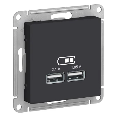 Розетка 2xUSB, карбон Systeme Electric ATN001033 фото 1